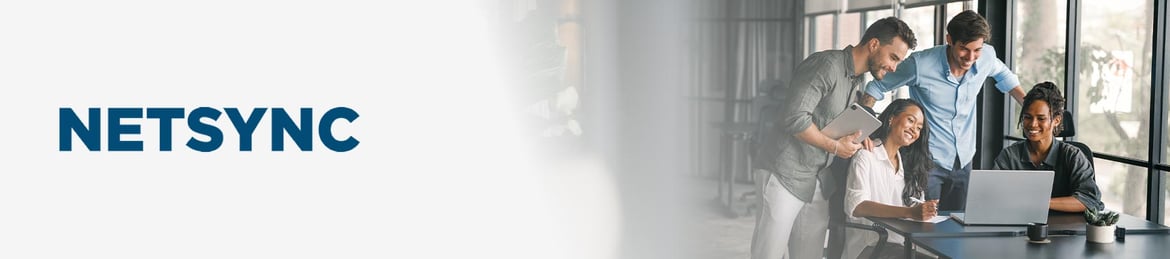 Netsync banner